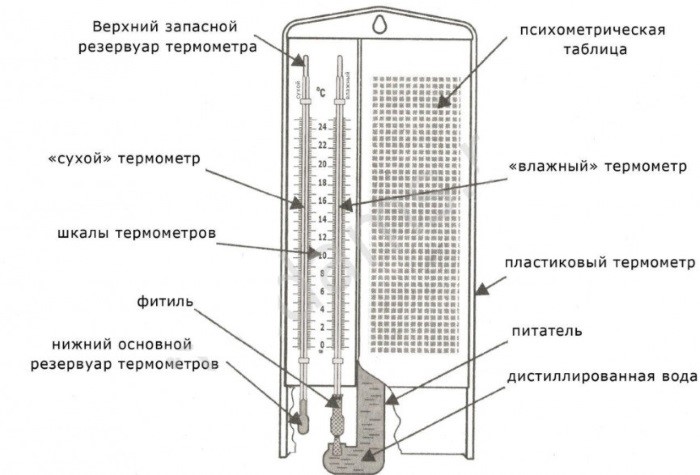 VIT_2_07_09_20_1.jpg